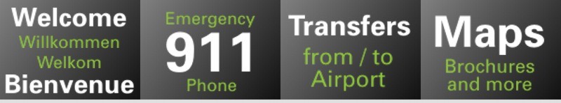 Our Services for You