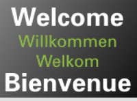 Our Services for You